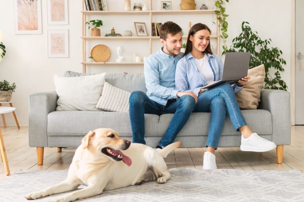 young couple in their home browsing on their computer together
